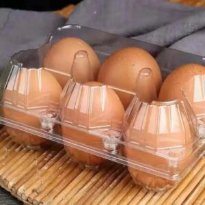 Egg - 1 Crate (6 Pieces)