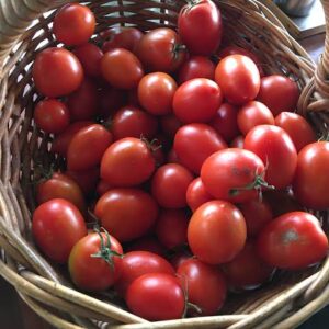 Tomatoes (Grade A) - 1/2 Small Basket (6KG)