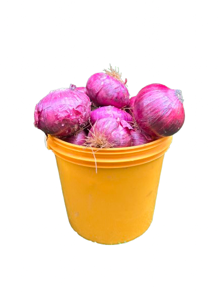 Onions (Red) - 1/2 Paint Bucket (1.5 - 1.75KG)