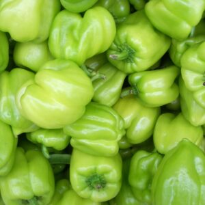 Green Rodo - 1/2 Paint Bucket (850 - 875G)