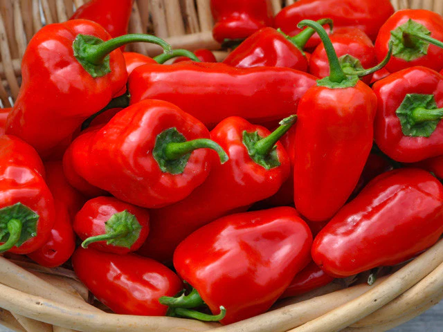 Tatase Pepper 1/2 paint