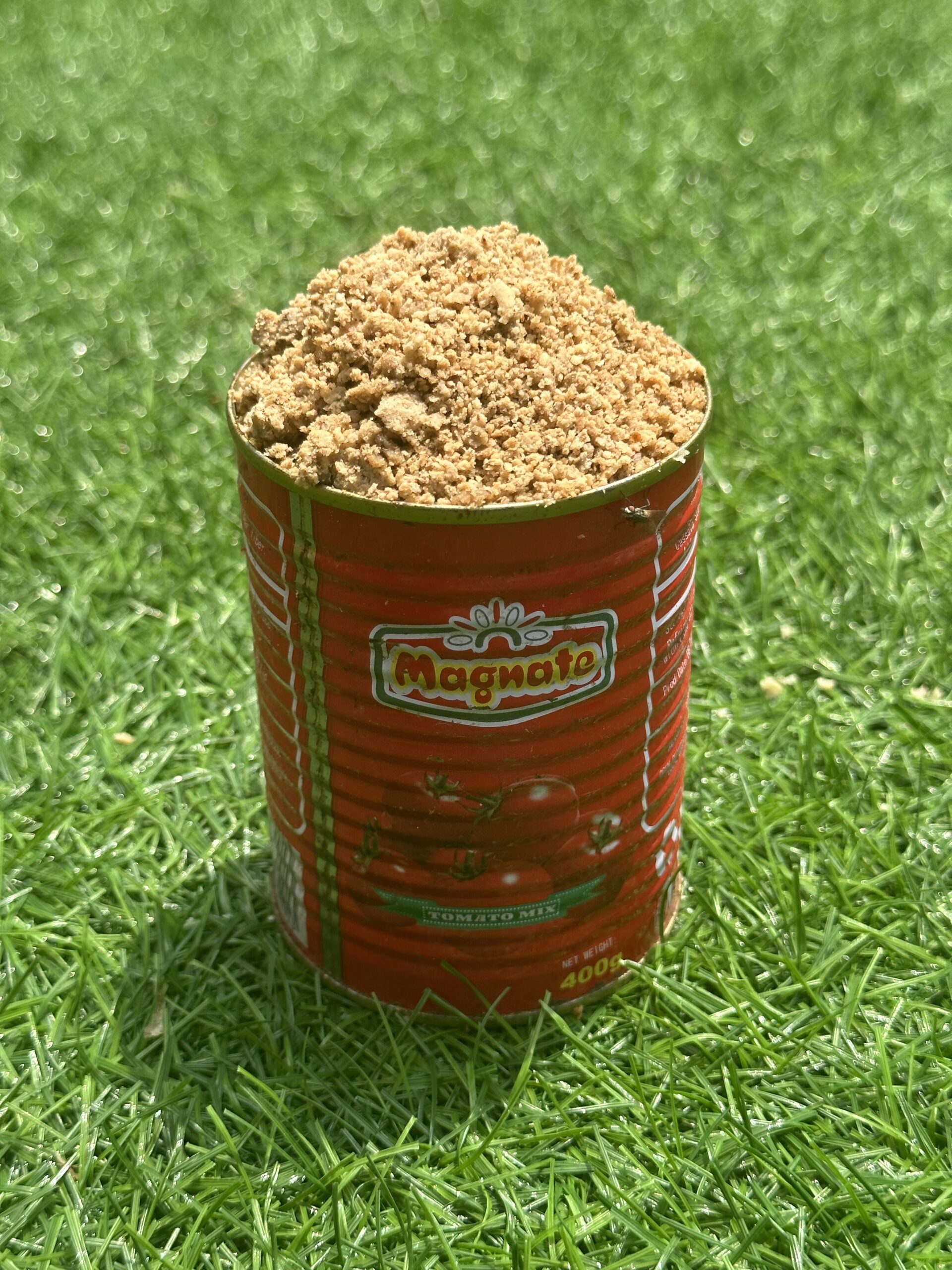 Egusi (Grounded) - 1 Derica