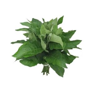 Bitter Leaf - 1 Bunch