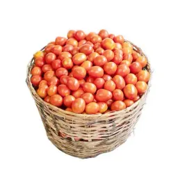 Tomatoes (Grade A) - 1 Small Basket (11.5 - 12KG)