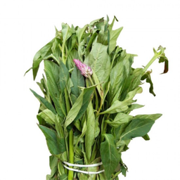 Efo (Shoko) - 1 Bunch