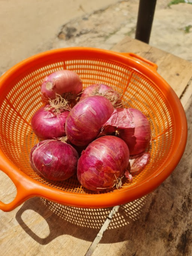 Onions (Red) - 1KG