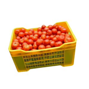 Tomatoes (Grade A) - 1 Crate (20 - 24KG)