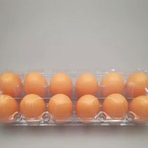 Egg - 1 Crates (12 Pieces)
