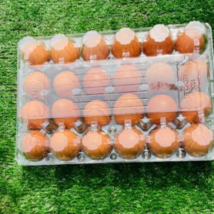 Egg -1 Crates (24 pieces)